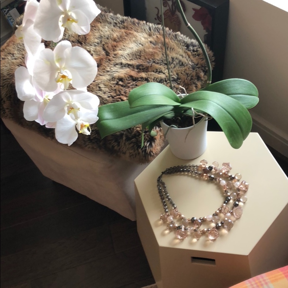 Anthropologie Statement Necklace!